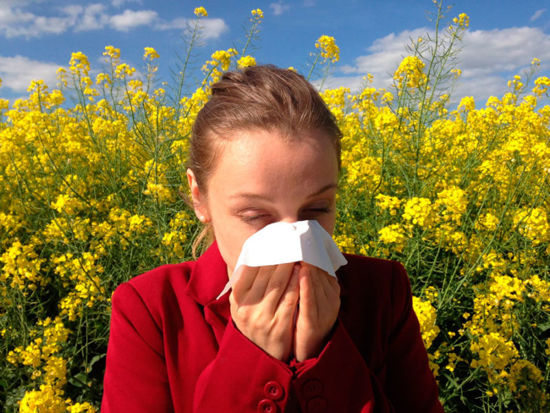 como combatir la alergia primaveral
